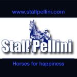 Stall Pellini